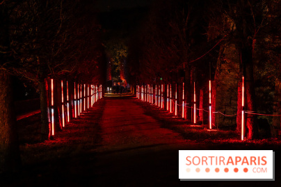 Lumières en Seine 2025, les photos du parcours de lumières - A7C00360