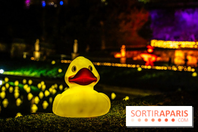 Lumières en Seine 2025, les photos du parcours de lumières - A7C00381