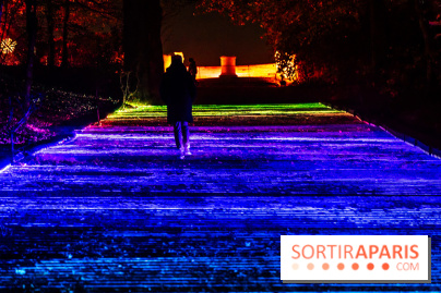 Lumières en Seine 2025, les photos du parcours de lumières
