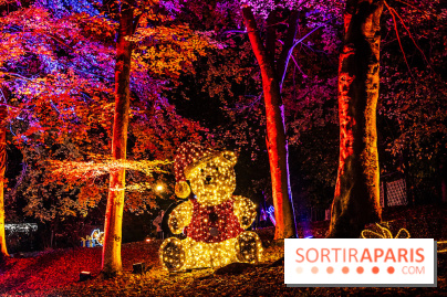 Lumières en Seine 2025, les photos du parcours de lumières - A7C00389