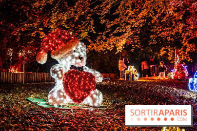 Lumières en Seine 2025, les photos du parcours de lumières - A7C00390