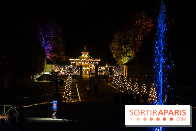 Lumières en Seine 2025, les photos du parcours de lumières - A7C00409