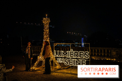 Lumières en Seine 2025, les photos du parcours de lumières - A7C00414