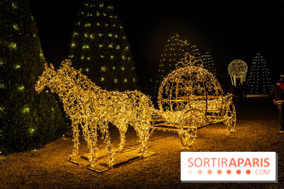 Lumières en Seine 2025, les photos du parcours de lumières - A7C00416
