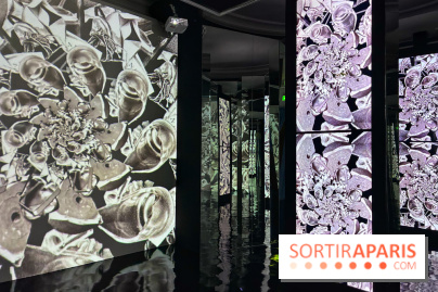 MC. Escher à la Monnaie de Paris - IMG 0843