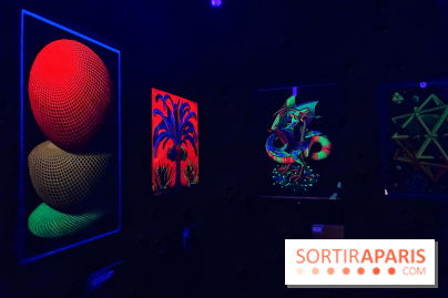 MC. Escher à la Monnaie de Paris - IMG 0879