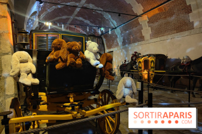 Le Grand Noël 2025 du château de Vaux-le-Vicomte : des décorations magiques pour une balade hivernale mémorable - fotor 1763144017980