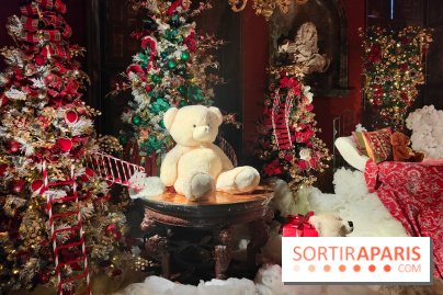 Le Grand Noël 2025 du château de Vaux-le-Vicomte : des décorations magiques pour une balade hivernale mémorable - fotor 1763143980196