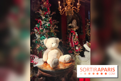 Le Grand Noël 2025 du château de Vaux-le-Vicomte : des décorations magiques pour une balade hivernale mémorable