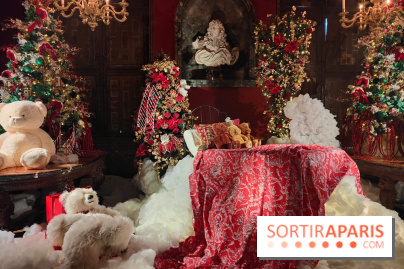 Le Grand Noël 2025 du château de Vaux-le-Vicomte : des décorations magiques pour une balade hivernale mémorable - fotor 1763143951179
