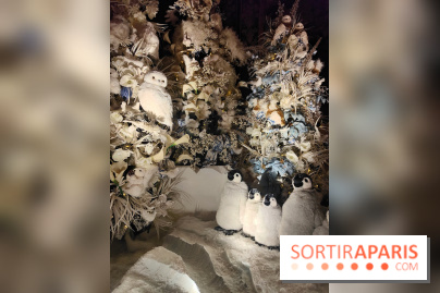 Le Grand Noël 2025 du château de Vaux-le-Vicomte : des décorations magiques pour une balade hivernale mémorable - fotor 1763143898130