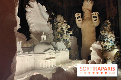 Le Grand Noël 2025 du château de Vaux-le-Vicomte : des décorations magiques pour une balade hivernale mémorable - fotor 1763143866508