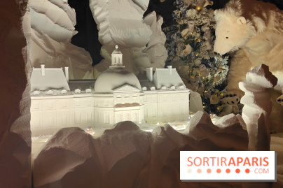 Le Grand Noël 2025 du château de Vaux-le-Vicomte : des décorations magiques pour une balade hivernale mémorable - fotor 1763143846602