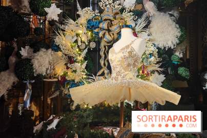 Le Grand Noël 2025 du château de Vaux-le-Vicomte : des décorations magiques pour une balade hivernale mémorable - fotor 1763143823985