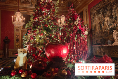 Le Grand Noël 2025 du château de Vaux-le-Vicomte : des décorations magiques pour une balade hivernale mémorable - fotor 1763143797954