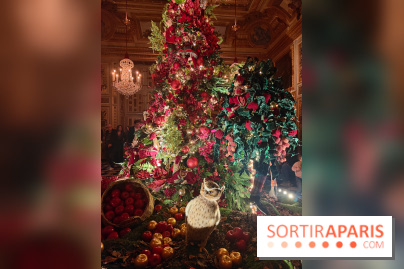 Le Grand Noël 2025 du château de Vaux-le-Vicomte : des décorations magiques pour une balade hivernale mémorable - fotor 1763143767663