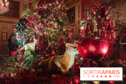 Le Grand Noël 2025 du château de Vaux-le-Vicomte : des décorations magiques pour une balade hivernale mémorable - fotor 1763143752676