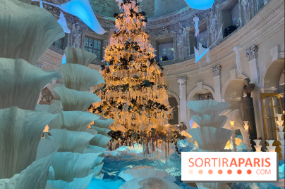 Le Grand Noël 2025 du château de Vaux-le-Vicomte : des décorations magiques pour une balade hivernale mémorable - fotor 1763143732951