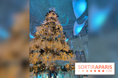 Le Grand Noël 2025 du château de Vaux-le-Vicomte : des décorations magiques pour une balade hivernale mémorable - fotor 1763143654287