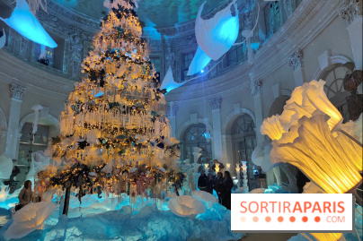 Le Grand Noël 2025 du château de Vaux-le-Vicomte : des décorations magiques pour une balade hivernale mémorable - fotor 1763143714138