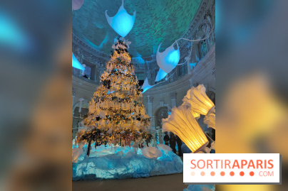 Le Grand Noël 2025 du château de Vaux-le-Vicomte : des décorations magiques pour une balade hivernale mémorable - fotor 1763143671149