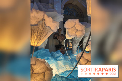 Le Grand Noël 2025 du château de Vaux-le-Vicomte : des décorations magiques pour une balade hivernale mémorable - fotor 1763143641292