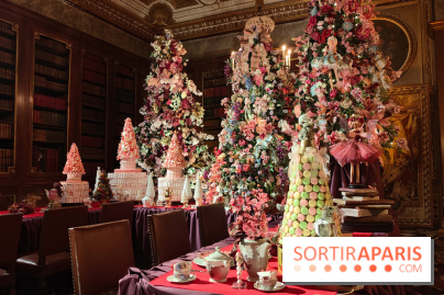 Le Grand Noël 2025 du château de Vaux-le-Vicomte : des décorations magiques pour une balade hivernale mémorable - fotor 1763143628524