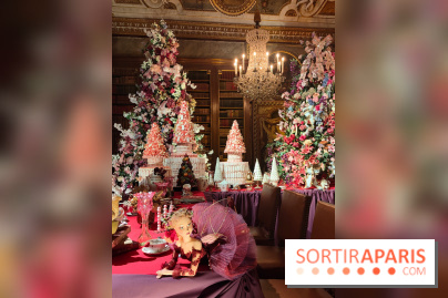 Le Grand Noël 2025 du château de Vaux-le-Vicomte : des décorations magiques pour une balade hivernale mémorable - fotor 1763143588426