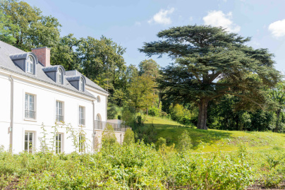 Les fêtes de Noël au Dolce Versailles - Dolce by Wyndham Versailles, Domaine du Montcel   Exterior   Cedar tree (1) web