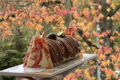 Les fêtes de Noël au Dolce Versailles - IMG 2429