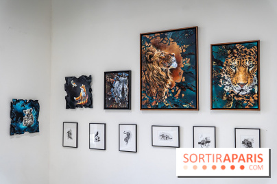 Le Festival Street-art de la Poste du Louvre 2025, les photos - A7C00810