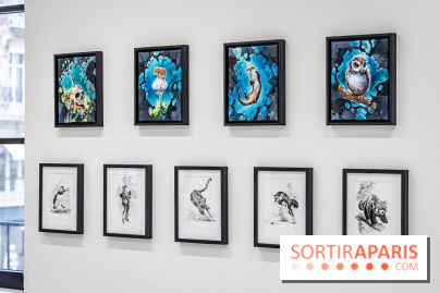 Le Festival Street-art de la Poste du Louvre 2025, les photos - A7C00815