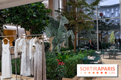 Noël 2025 Dior 30 Montaigne - IMG 1956