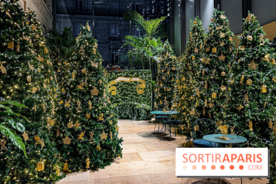 Noël 2025 Dior 30 Montaigne - IMG 1968