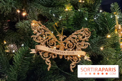 Noël 2025 Dior 30 Montaigne - IMG 1972