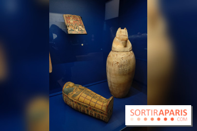 Momies : une exposition insolite et troublante à découvrir au musée de l'Homme - fotor 1763471473324