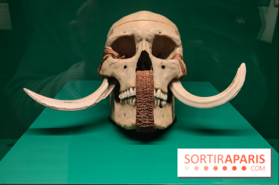 Momies : une exposition insolite et troublante à découvrir au musée de l'Homme - fotor 1763471574922