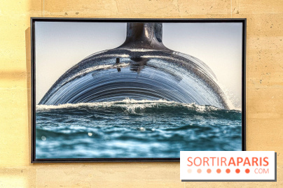 Les Peintres de la Marine : l’exposition dédiée à l’univers maritime à l’Espace Richaud à Versailles - IMG 1865