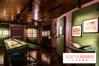 Exposition Manga au Musée Guimet, les photos  - A7C01132