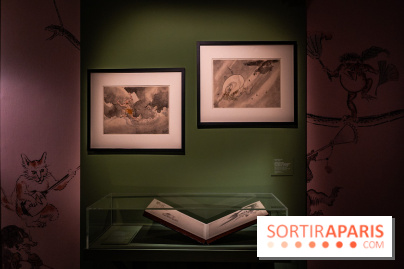 Exposition Manga au Musée Guimet, les photos  - A7C01134