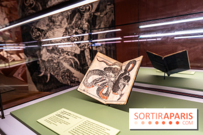 Exposition Manga au Musée Guimet, les photos  - A7C01148