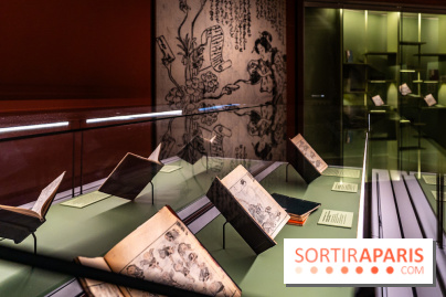 Exposition Manga au Musée Guimet, les photos  - A7C01149