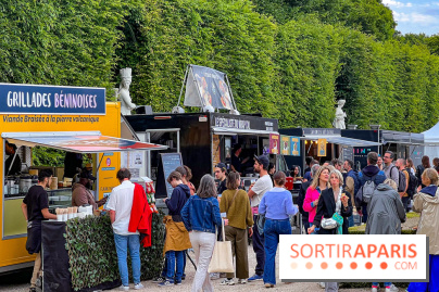 Versailles Electro 2025, la soirée electro du château de Versailles  - IMG 5063