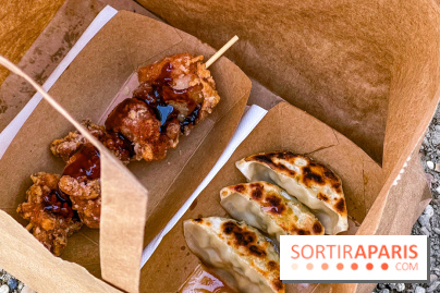 Versailles Electro 2025, la soirée electro du château de Versailles  - IMG 5091