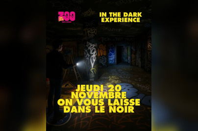 Jeudi 20 novembre, on vous laisse dans le noir : un musée de 4 000 m2 à visiter plongé dans le noir