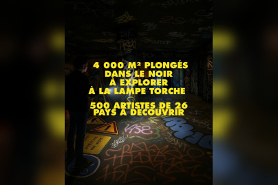 Explorez le Zoo Art Show dans le noir