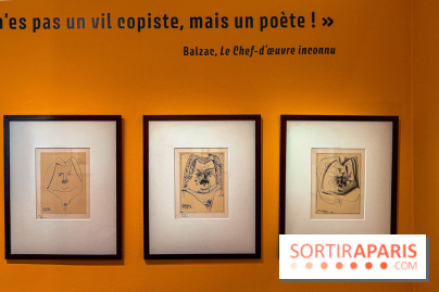 Les Voies ardentes de la création : Picasso, Balzac et Rodin s'exposent à la Maison de Balzac - IMG 2167