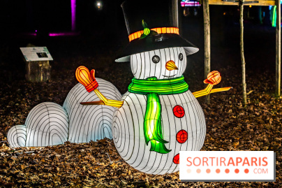 L'Odyssée Lumineuse au Parc Floral 2025, les photos