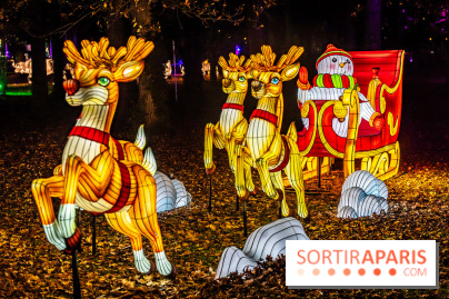 L'Odyssée Lumineuse au Parc Floral 2025, les photos
