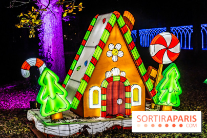 L'Odyssée Lumineuse au Parc Floral 2025, les photos